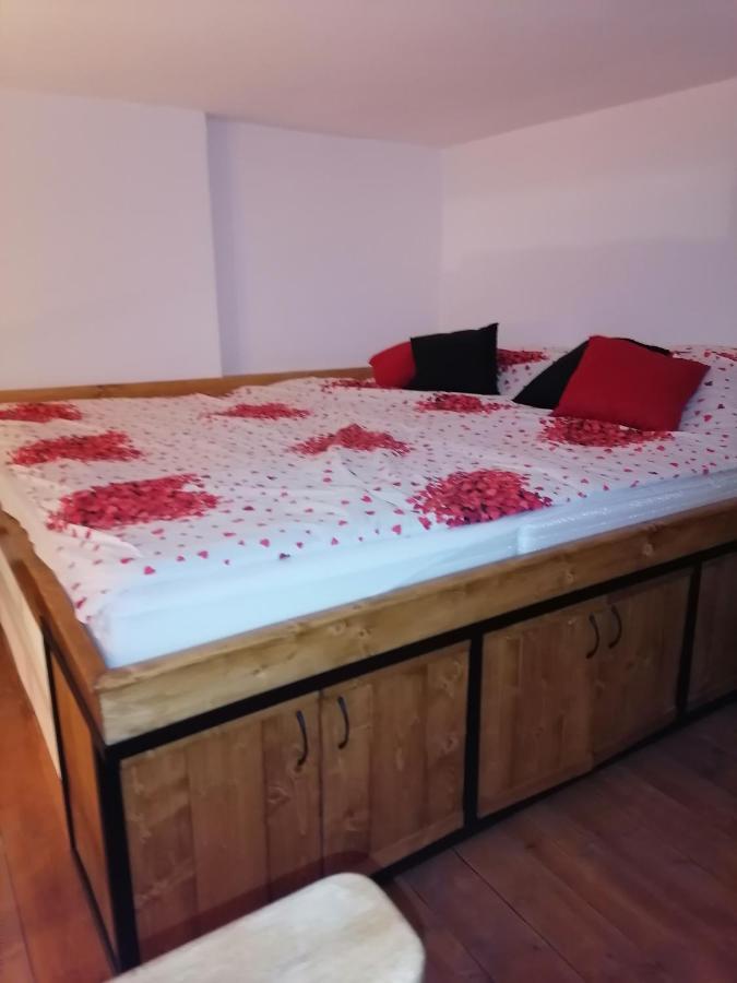 Apartman Stimac ペトロヴァラディン エクステリア 写真