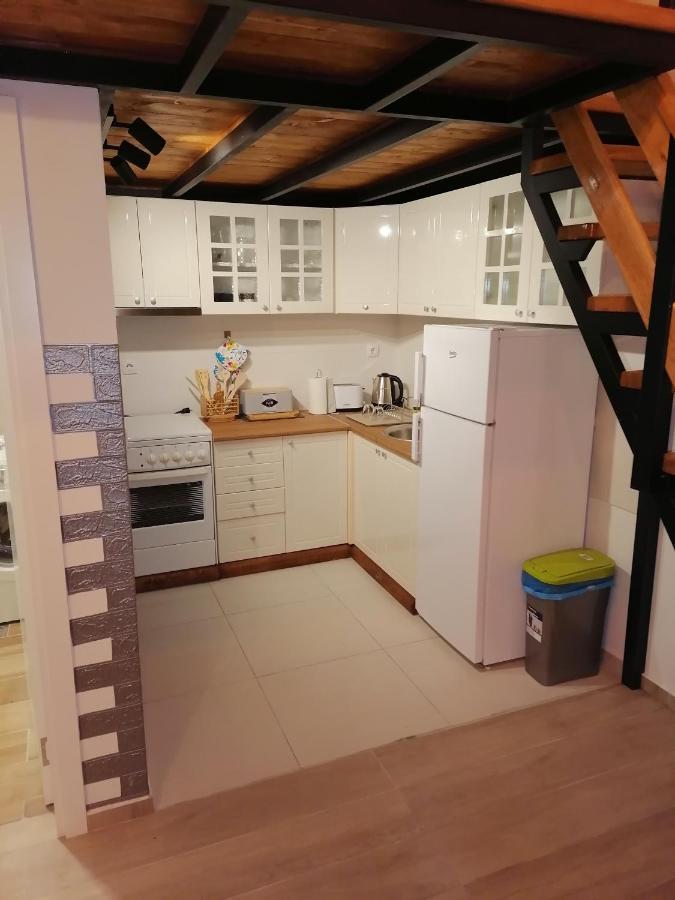 Apartman Stimac ペトロヴァラディン エクステリア 写真