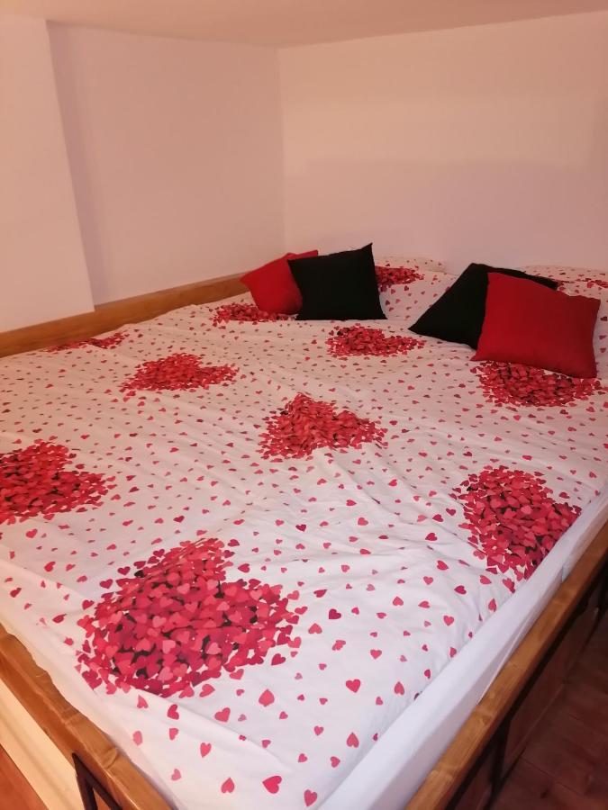 Apartman Stimac ペトロヴァラディン エクステリア 写真
