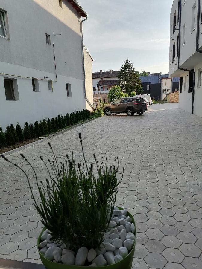 Apartman Stimac ペトロヴァラディン エクステリア 写真