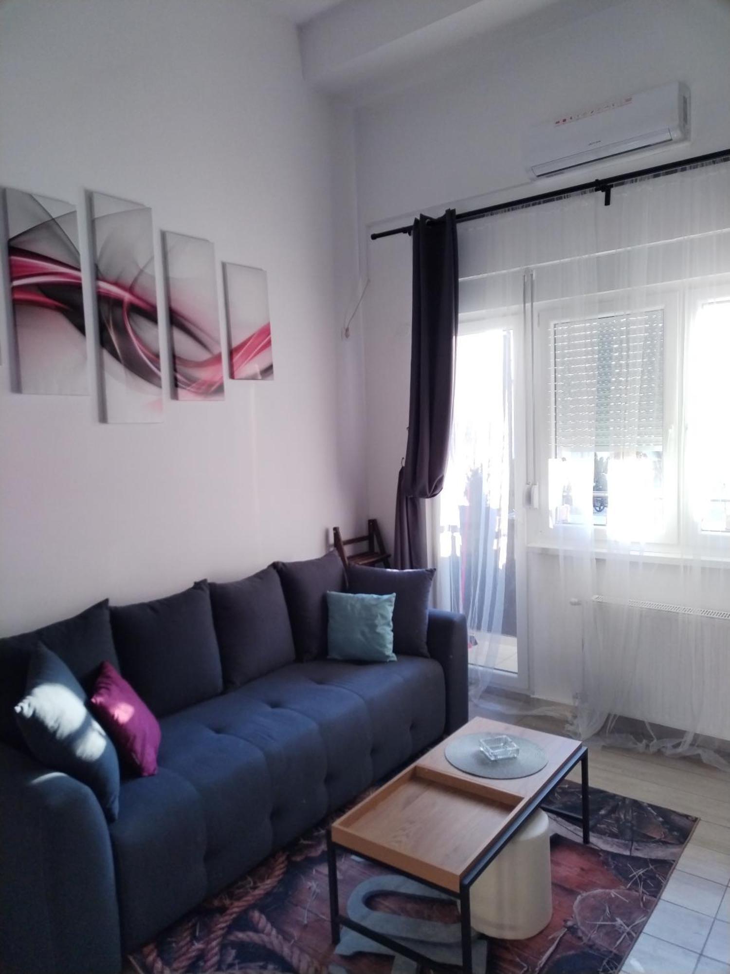 Apartman Stimac ペトロヴァラディン エクステリア 写真